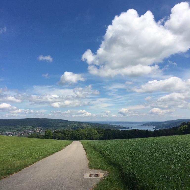 B&B Stein Am Rhein Exteriör bild